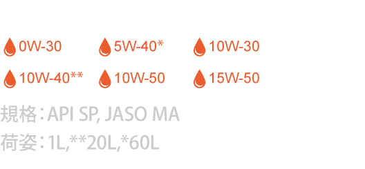 300V FACTORY LINE ROAD-RACING